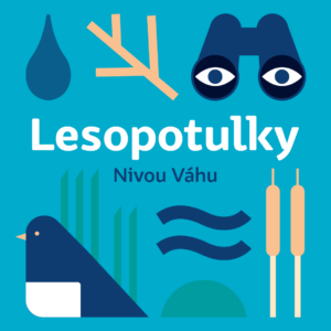 (VYPREDANÉ) Nivou Váhu / 28. marca 2026 o 10.00 h